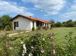 Hotels in Krapets